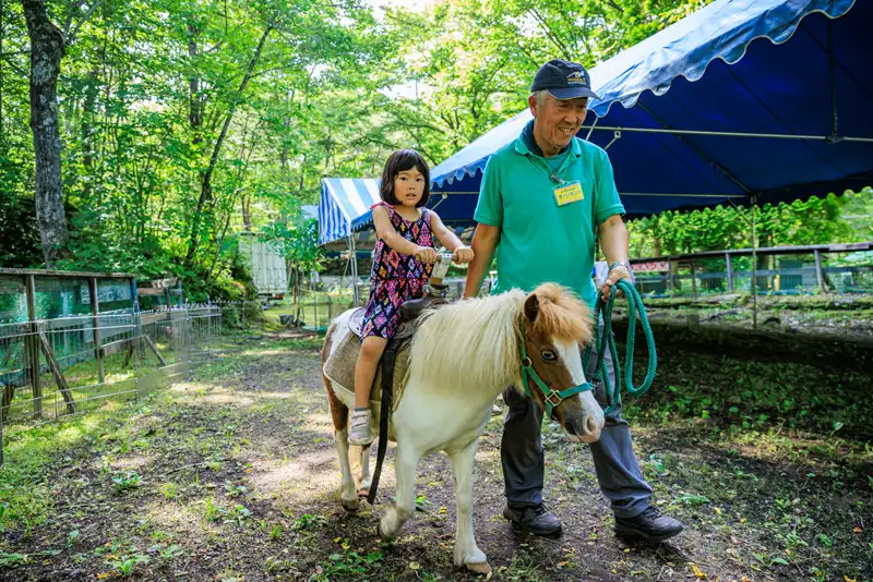 ポニー乗馬