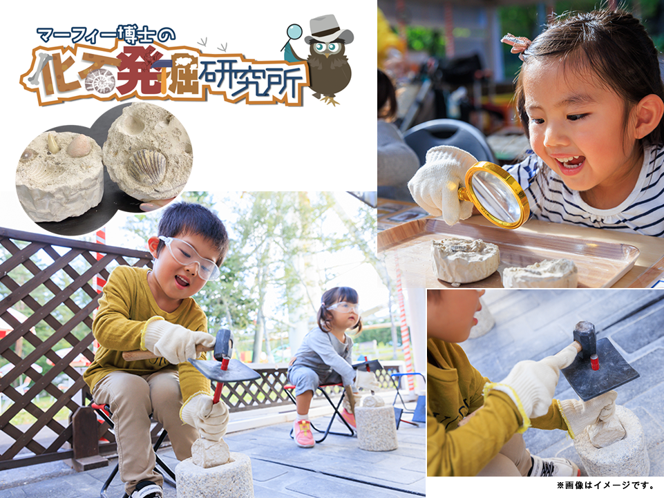 ショップ | 軽井沢おもちゃ王国【公式】 | 見て、触れて、体験できる